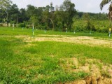 Land for sale from Homagama