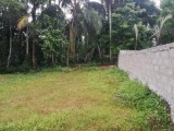 Land for sale from Diyagama