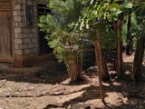 House with land for sale from Weeraketiya