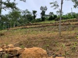 Land for sale from Neluwa