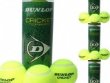 Cricket Dunlop Ball Tin