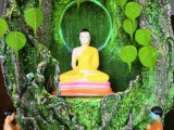 Buddha images for selling හිත නිවන බුදු හාමුදුරුවෝ ...