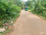 Coconut Estate for sale from Tangalle