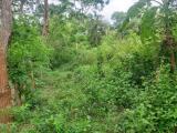 Land  for sale from Tangalle