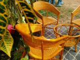 Chair sets for sale from Gampaha