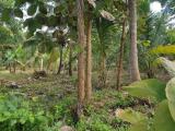 LAND AND HOUSE FOR SALE FROM Tangalle