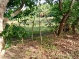 LAND FOR SALE FROM THABUTHTHEGAMA