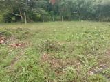 Land for sale from Kesbewa