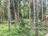 Residential Land for sale from Negombo