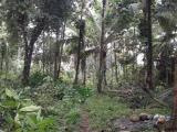Land for sale from Kaluaggala