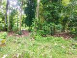 Land for sale from Wadduwa