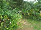 Land for sale from Kegalle