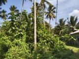 Land for sale from Beliaththa