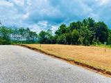 Land for sale from Meepe