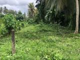 Land for sale from Ranala