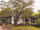 House For Sale Ragama