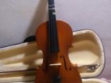 Violine for sale