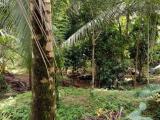 Land for sale from Kirindiwela ,Gampaha