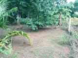 Land for sale from Kataragama