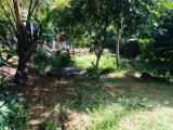 Land for sale from Pilana,Galle,SriLanka
