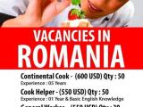 JOB VACANCIES From  ROMANIA