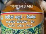 Magic grow-Zn