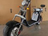 Harley Davidson Other Model 2022 (New)