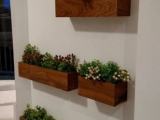 wooden wall plants