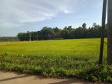 Land for sale Katuwalagama