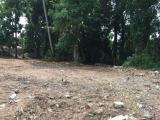 Bare Land For Sale In Dehiwala