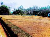 Land for Sale in Kosgama Salawa