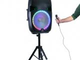 FDX AS3000 Karaoke Speaker With Stand