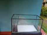 Fish tanks for sale