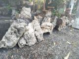 Natural  stone snd roots in Negombo showroom