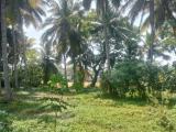 Land for sale Kurunegala