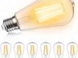 LED 8w edison bulb warm white