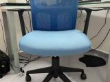 Blue Mesh Chair