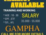 JOB VACANCIES From  Gampaha