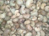 cashew seeds for sale