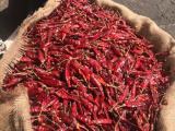 dry   pepper for sale