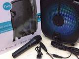 Karaoke Bluetooth Speaker with Mic Gts-1248