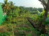 Land for sale from Goonapola