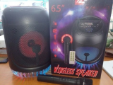 Karaoke Speakers with Wireless Mic