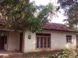Land and House  for sale