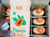 RDL    papaya lotion (600ml)