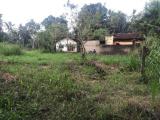 Land for sale  near Minuwangoda