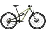 2023 Canyon Spectral 29 CF 8 Mountain Bike - DREAMBIKESHOP