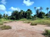 Commercial Land for Sale in Seeduwa