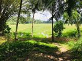 Land for sale in Narammala,Kurunegala