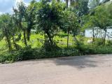 29 Perch Land For For Sale In Katunayake